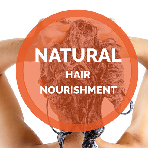 Hair Shampoo Mango and Argan Oil - 16.9 fl oz | NATURAL SOLUTION
